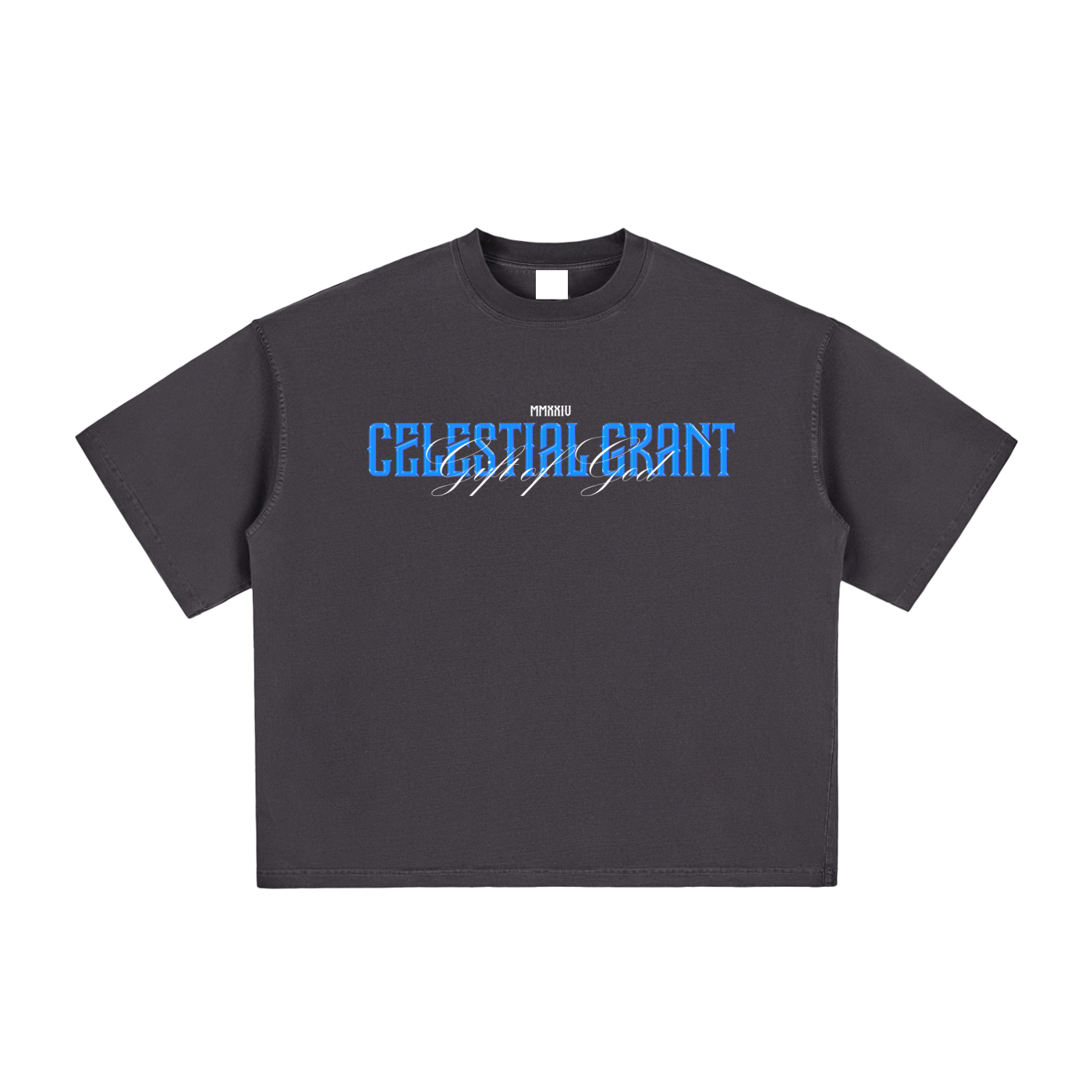 DIVINE REVELATION OVERSIZED TEE