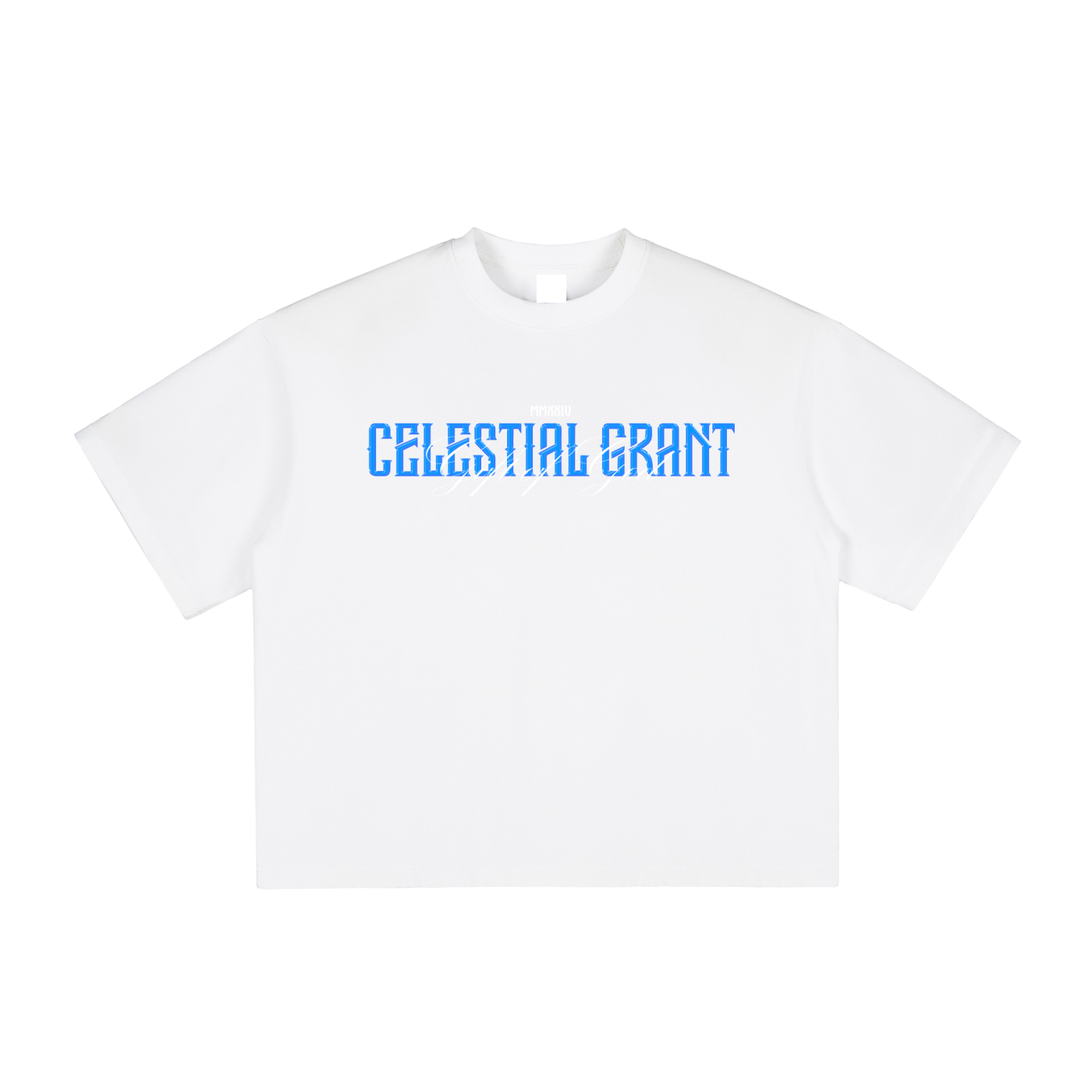 DIVINE REVELATION OVERSIZED TEE